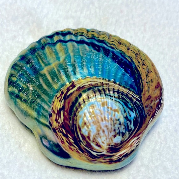 Robert Held Studio Other - Robert Held studio - Sea shell art glass can use as paperweight or decor